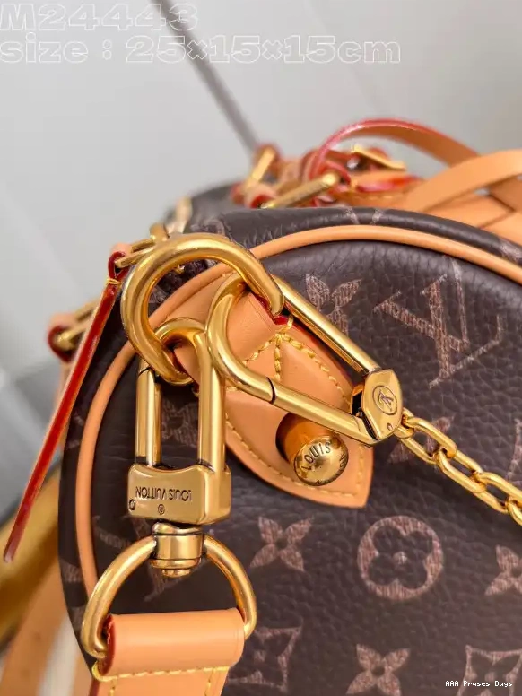 AAA Replica Ru Louis SPEEDY 25 Vuitton 0525